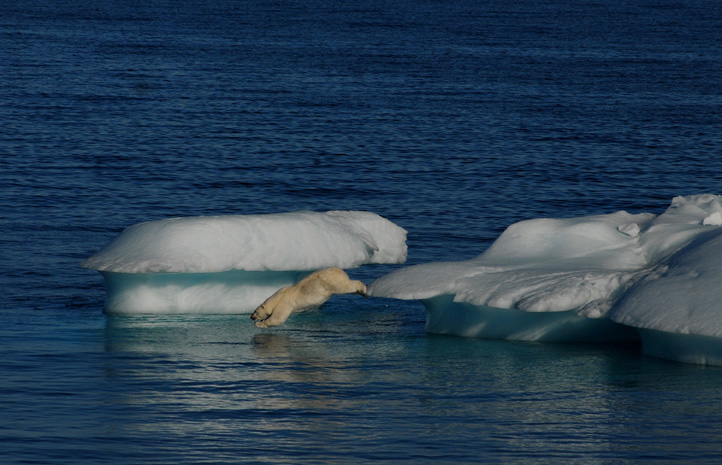 Climate change Canadian Arctic. © Farzana Wahidy