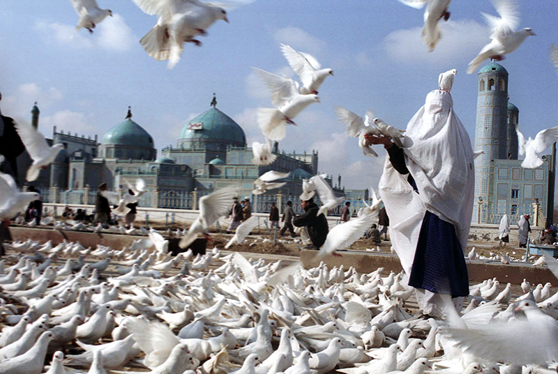 Mazar, Afghanistan. © Farzana Wahidy